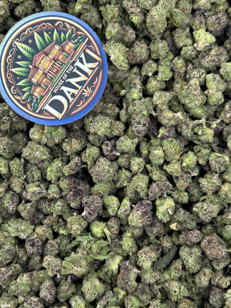 APPLE TWIST SMALLS