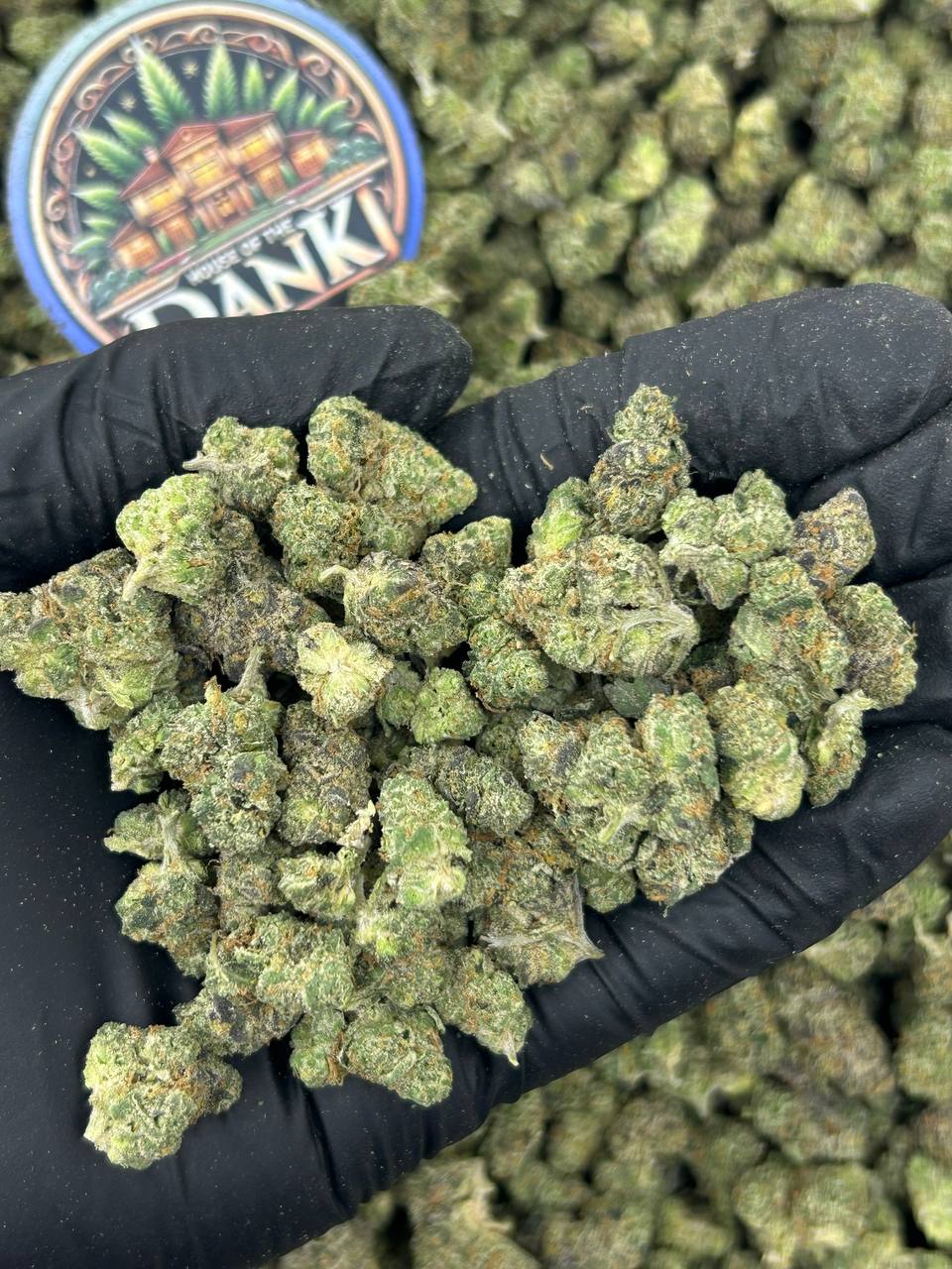 GRAPE CANDY SMALLS