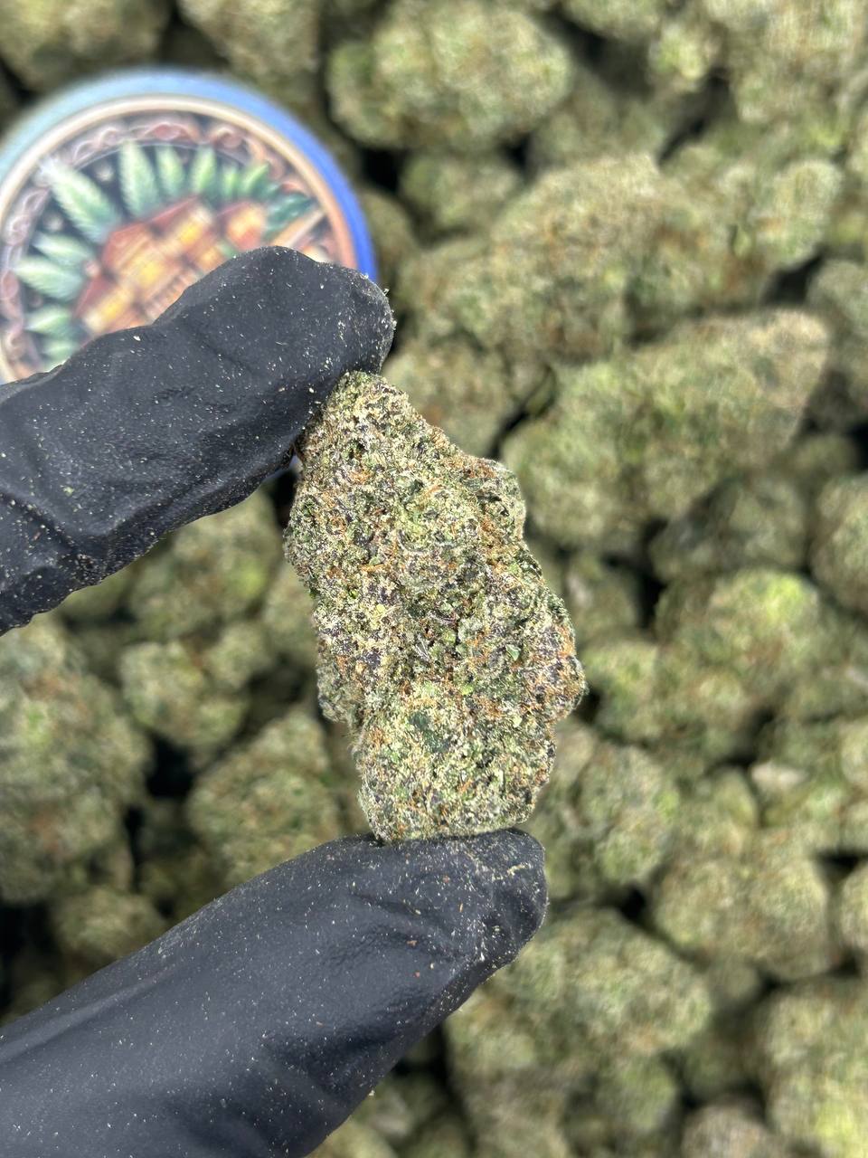 ORANGE PARADISE