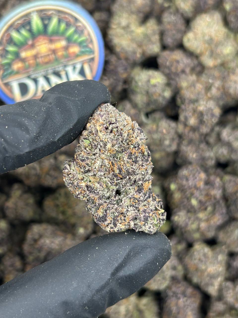 PLUSHBERRY ICE