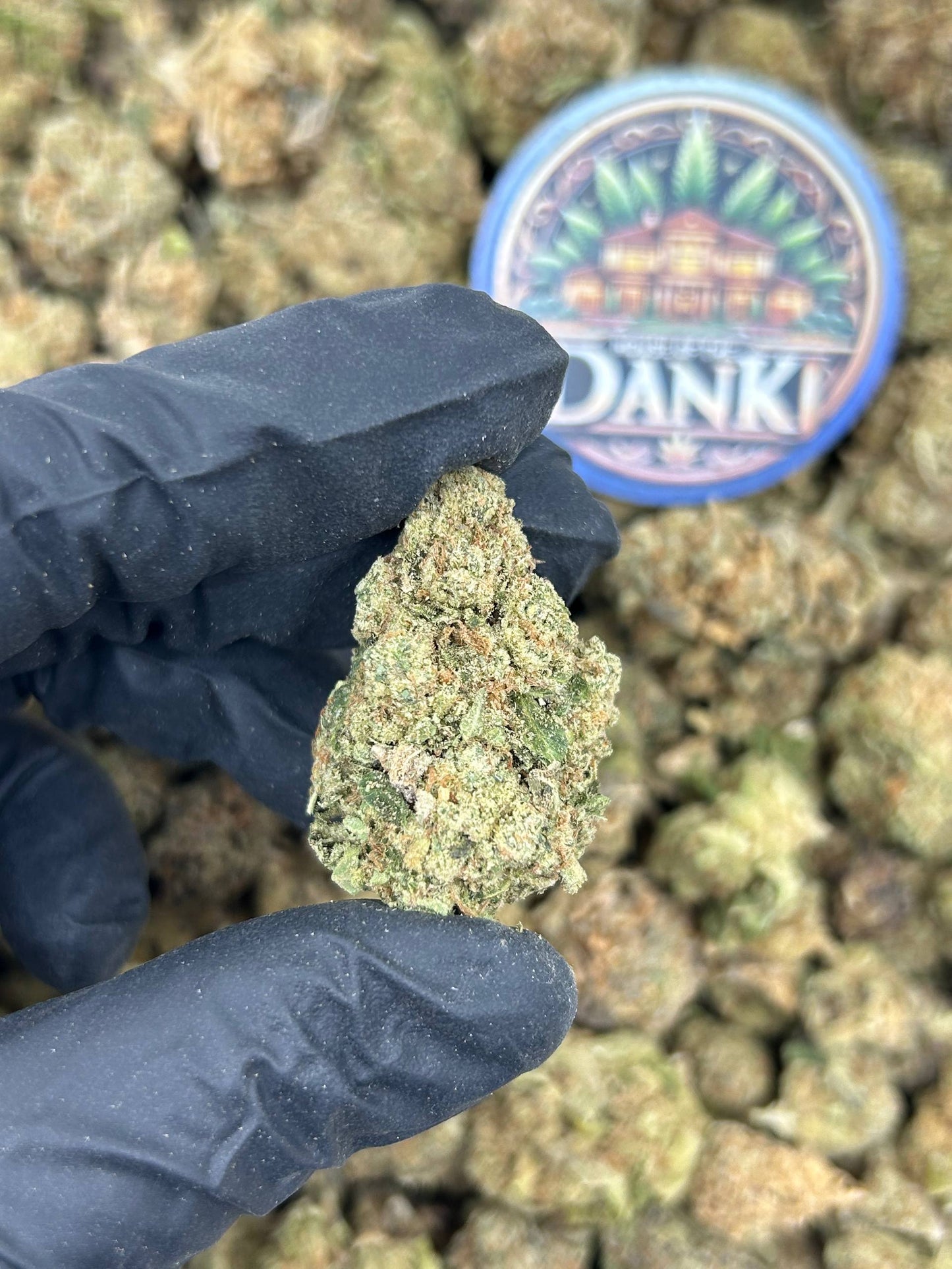GLUE FUEL