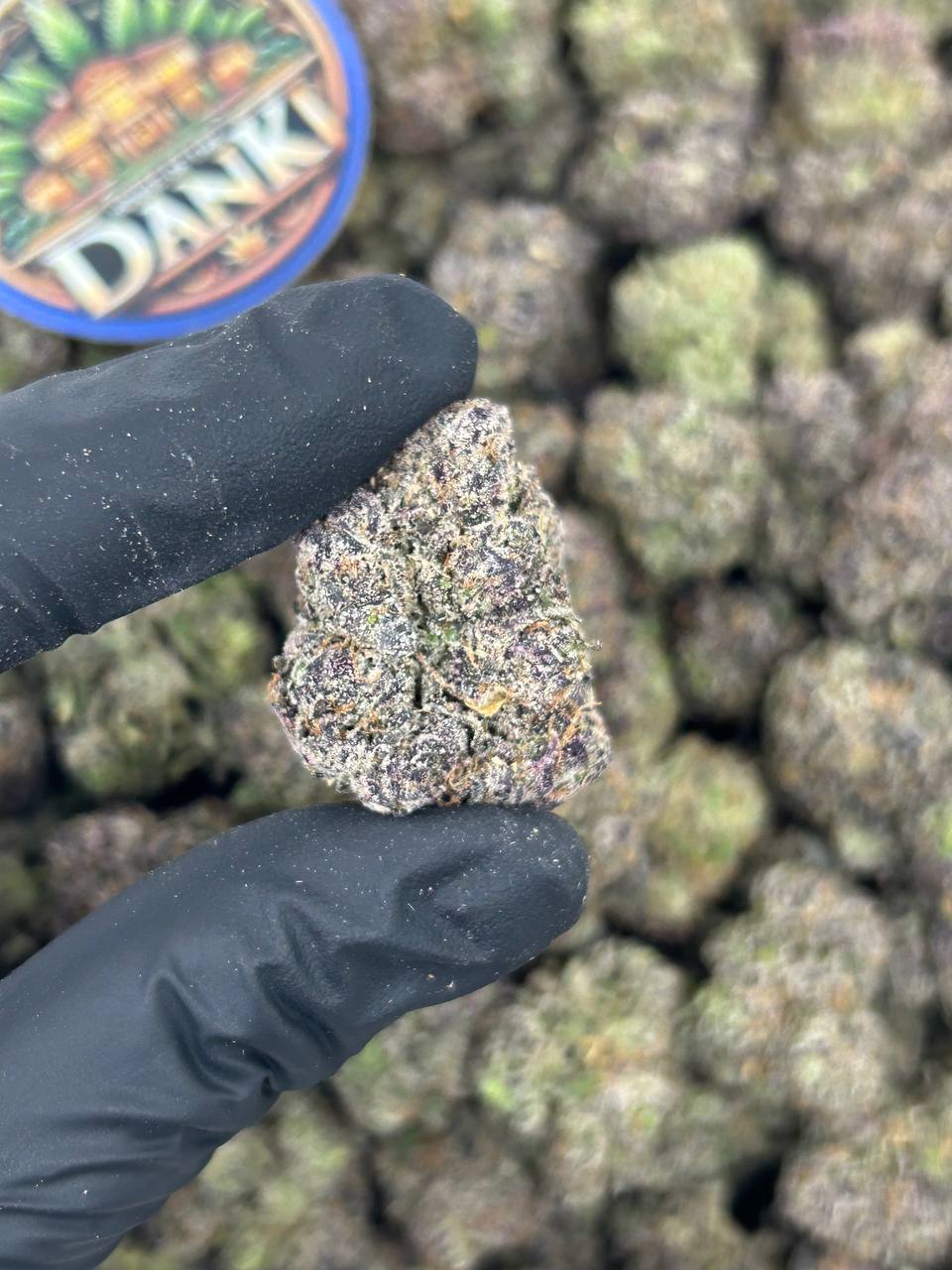 CHERRY LEMON SMASH