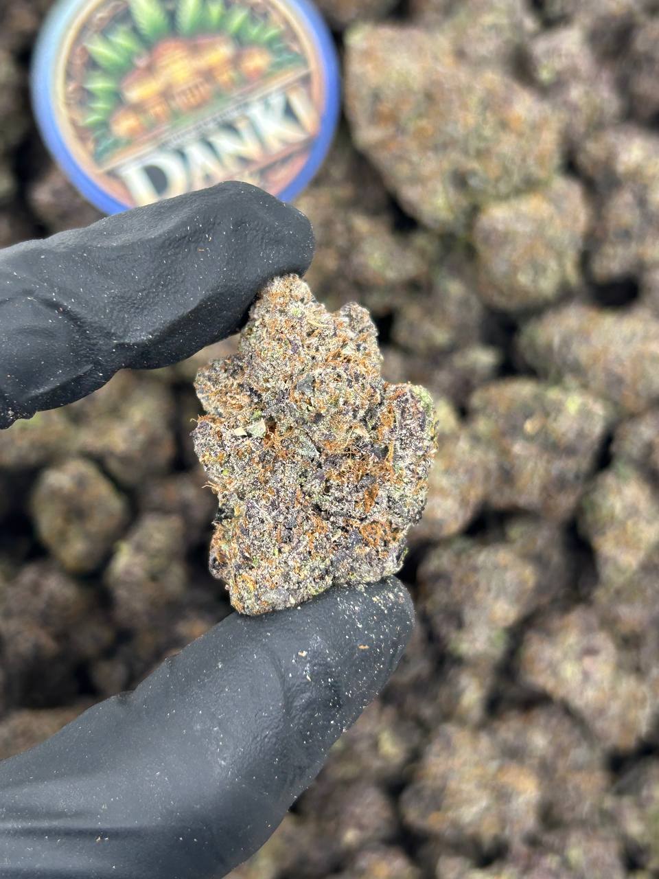PURPLE CHERRY GELATO