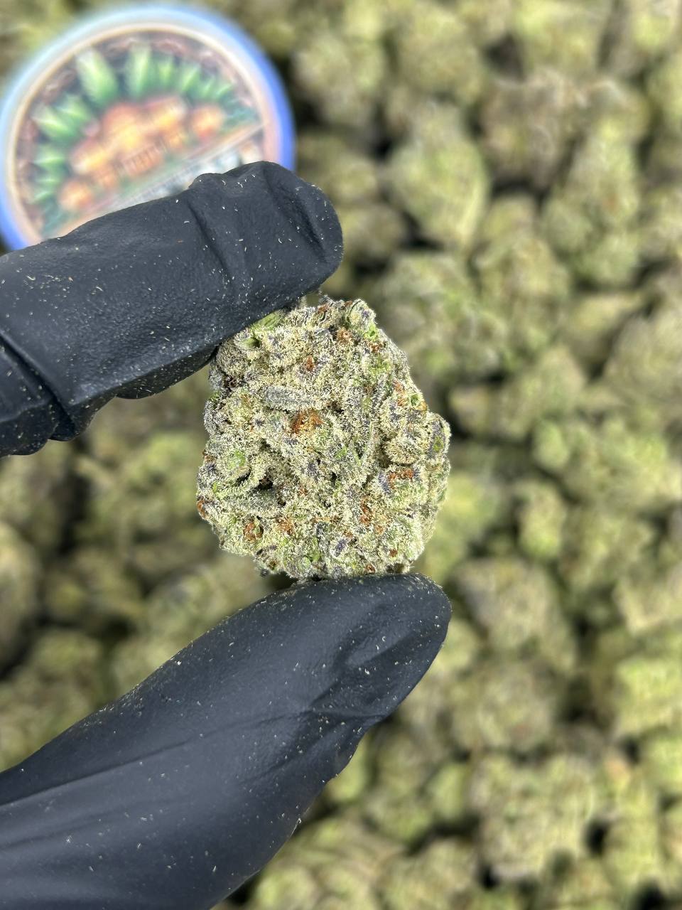 OREOZ