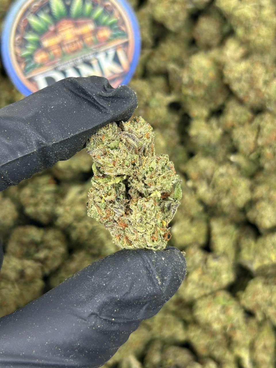 GRAPE FUSION
