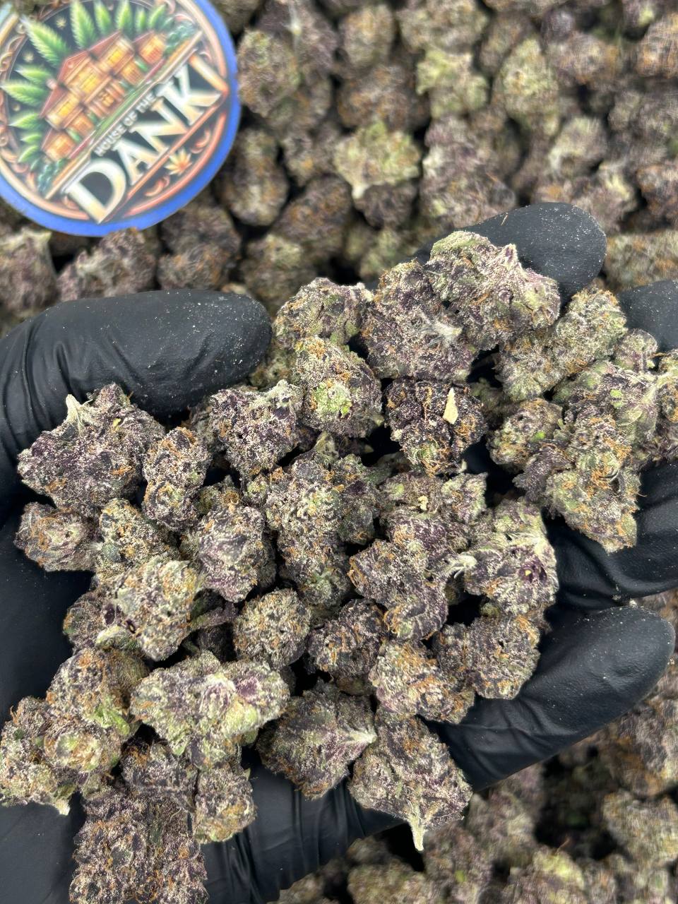 BUBBLEGUM MEDS