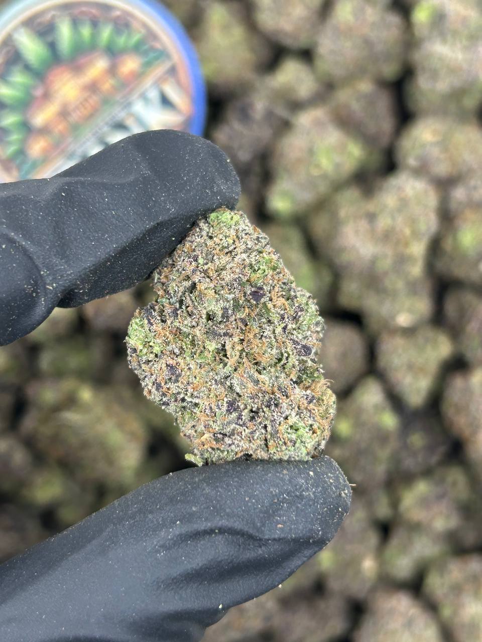 PURPLE HAIR GUMDROP