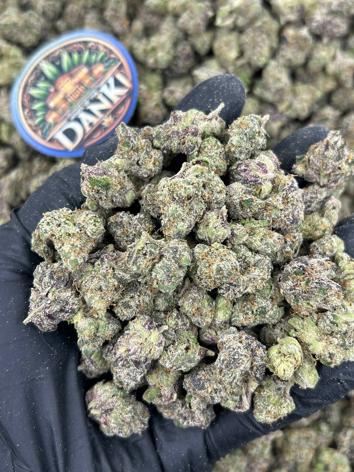 GASSY CHERRY SMALLS