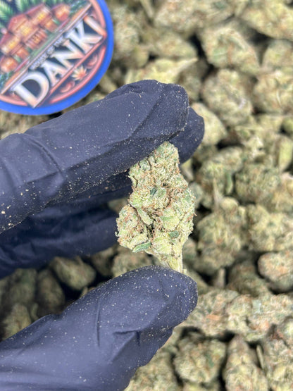 LEMON SHERBET RUSH