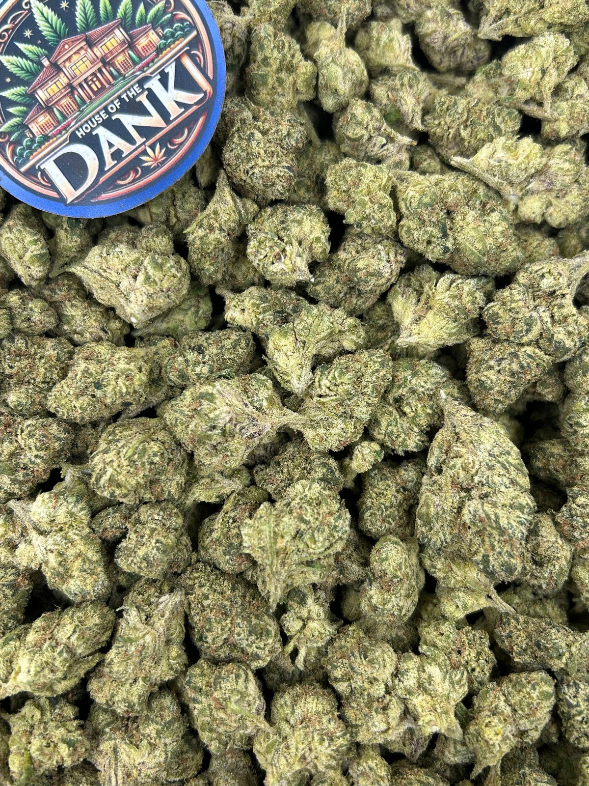 GELATO VELVET CREAM