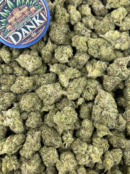 GELATO VELVET CREAM