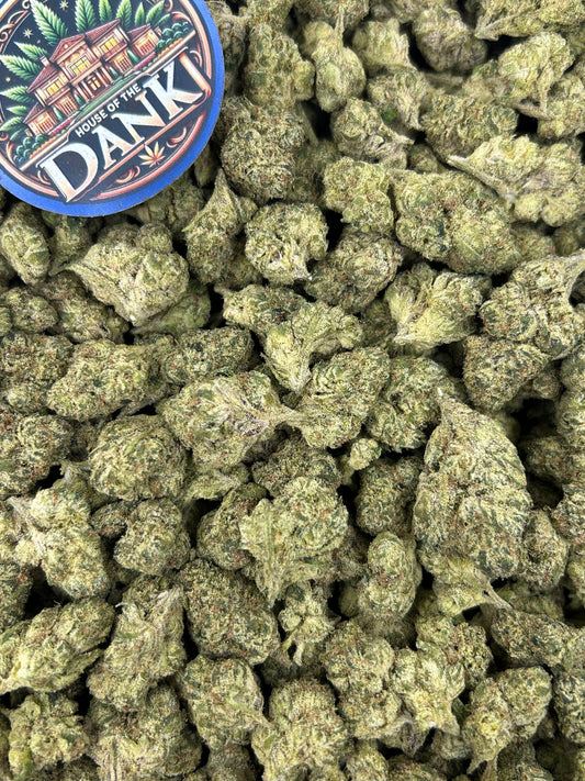 GELATO VELVET CREAM