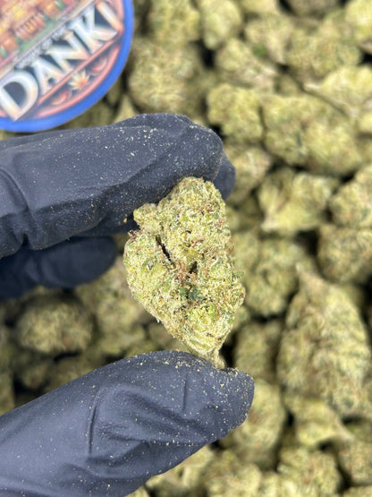 GELATO VELVET CREAM