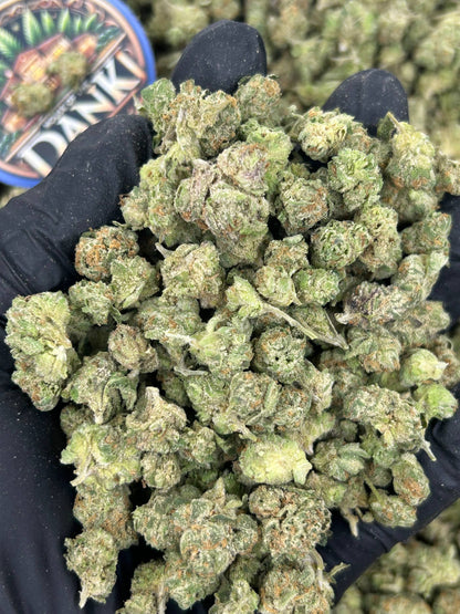 TROPICAL RUSH SMALLS