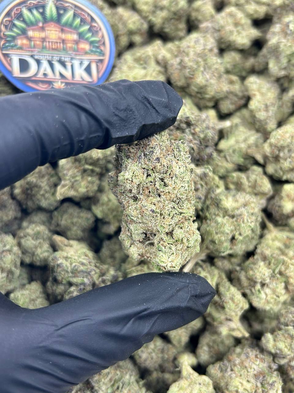 FROSTY CREAM PIE