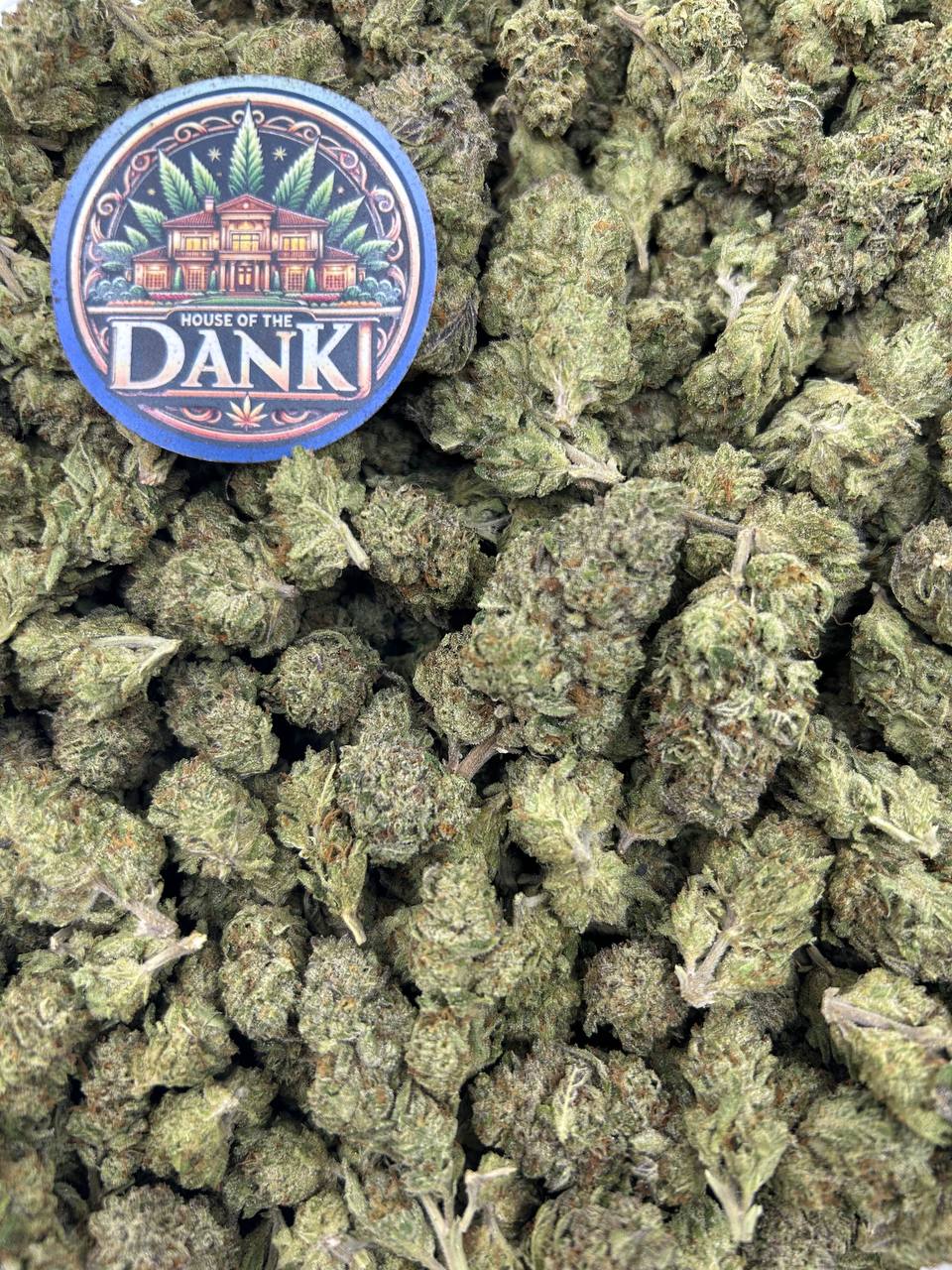 AFGHANI GAS