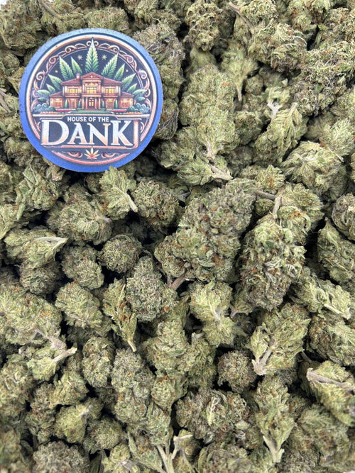 AFGHANI GAS