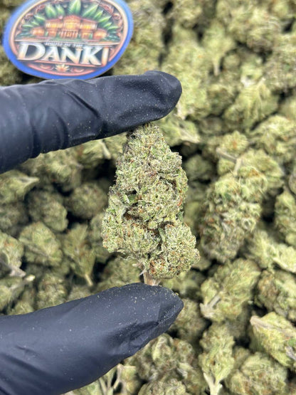 AFGHANI GAS