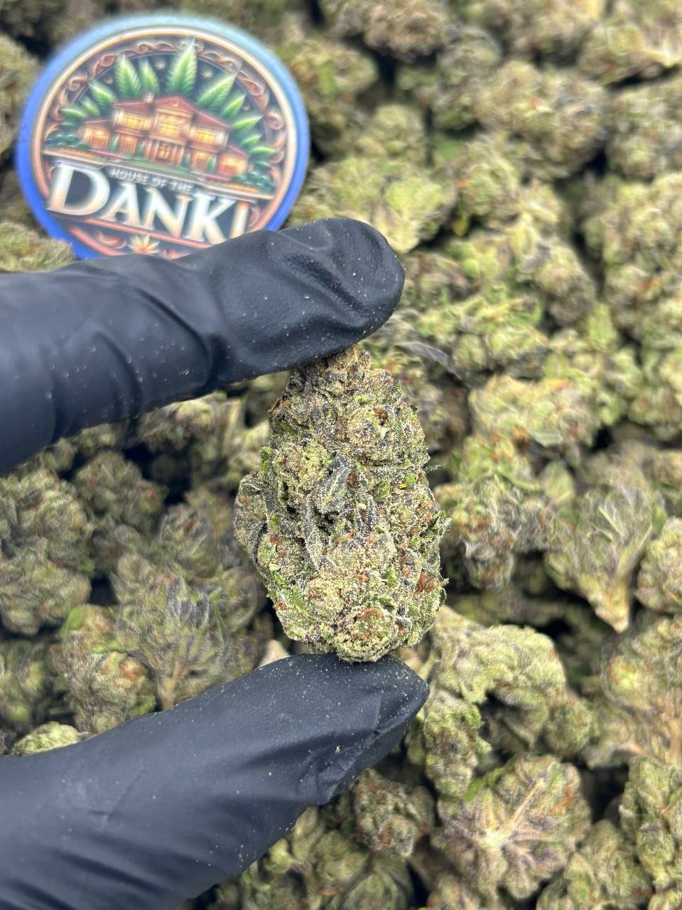 SHERBERT ICE