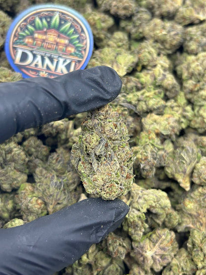 SHERBERT ICE