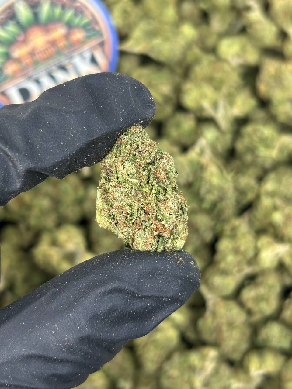 ZKITTLEZ SCOOP