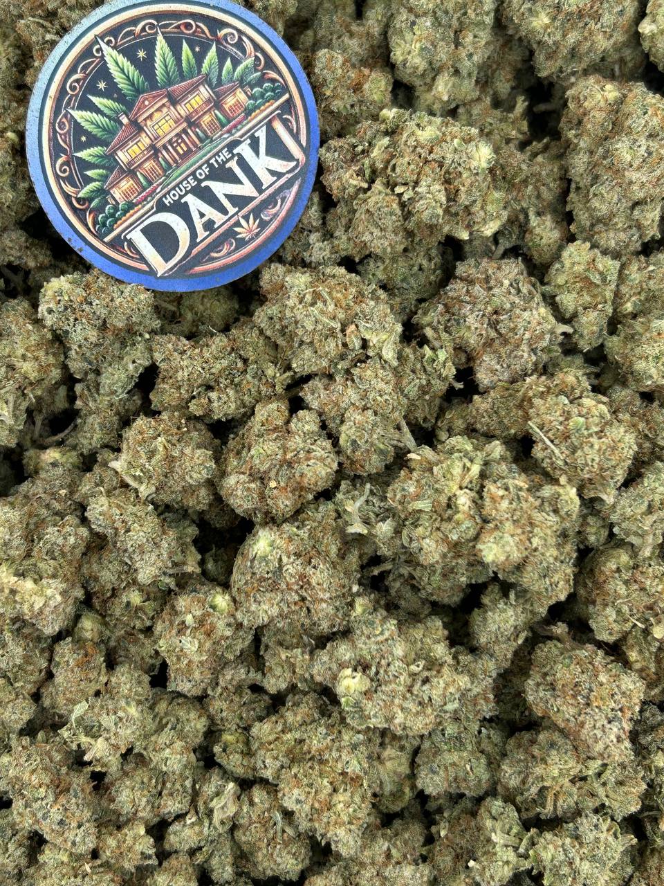 GORILLA GLUE #4