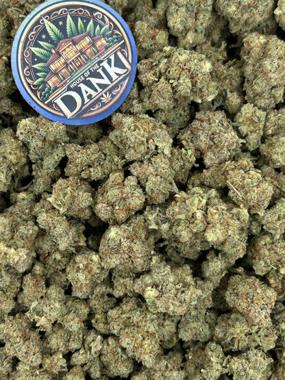 GORILLA GLUE #4
