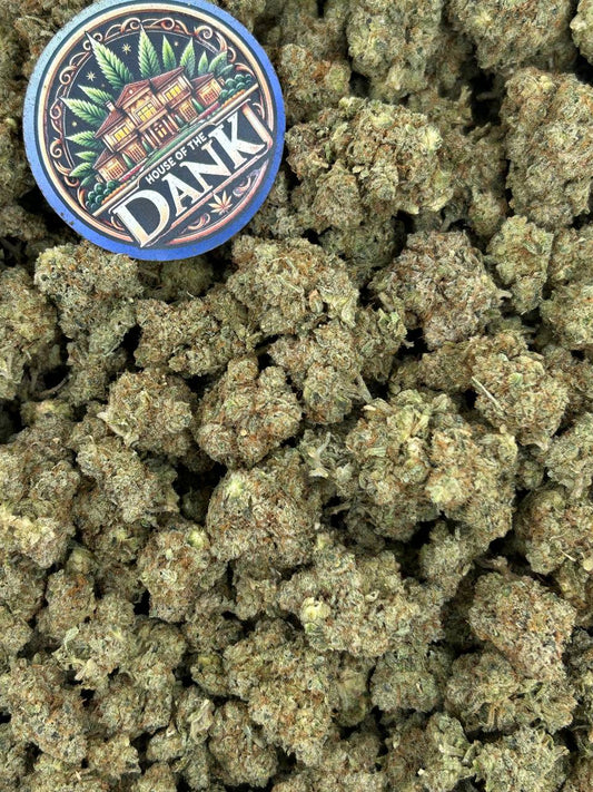GORILLA GLUE #4