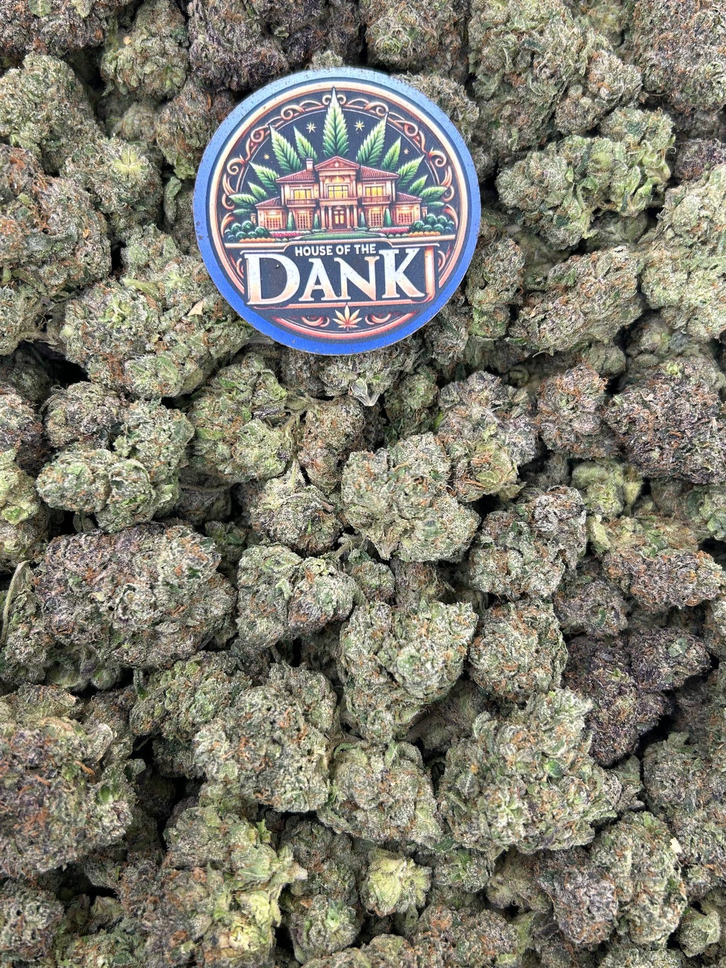 PINEAPPLE CRUSH