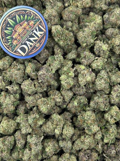 GALAXY DIESEL