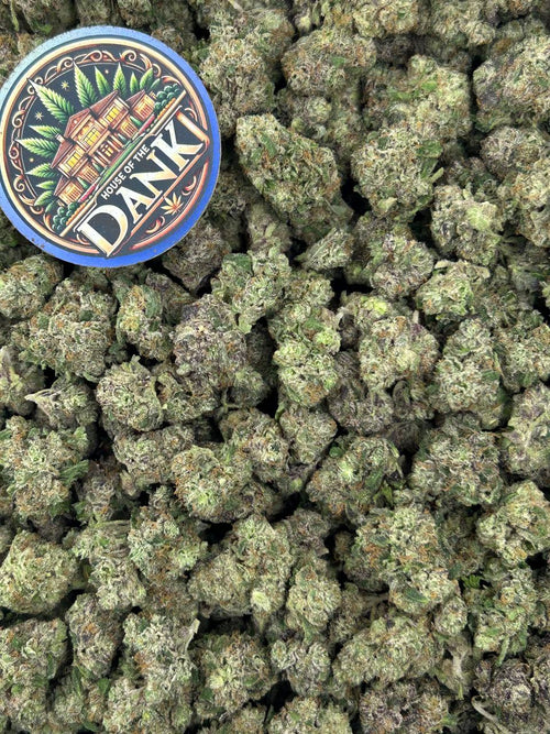 GALAXY DIESEL