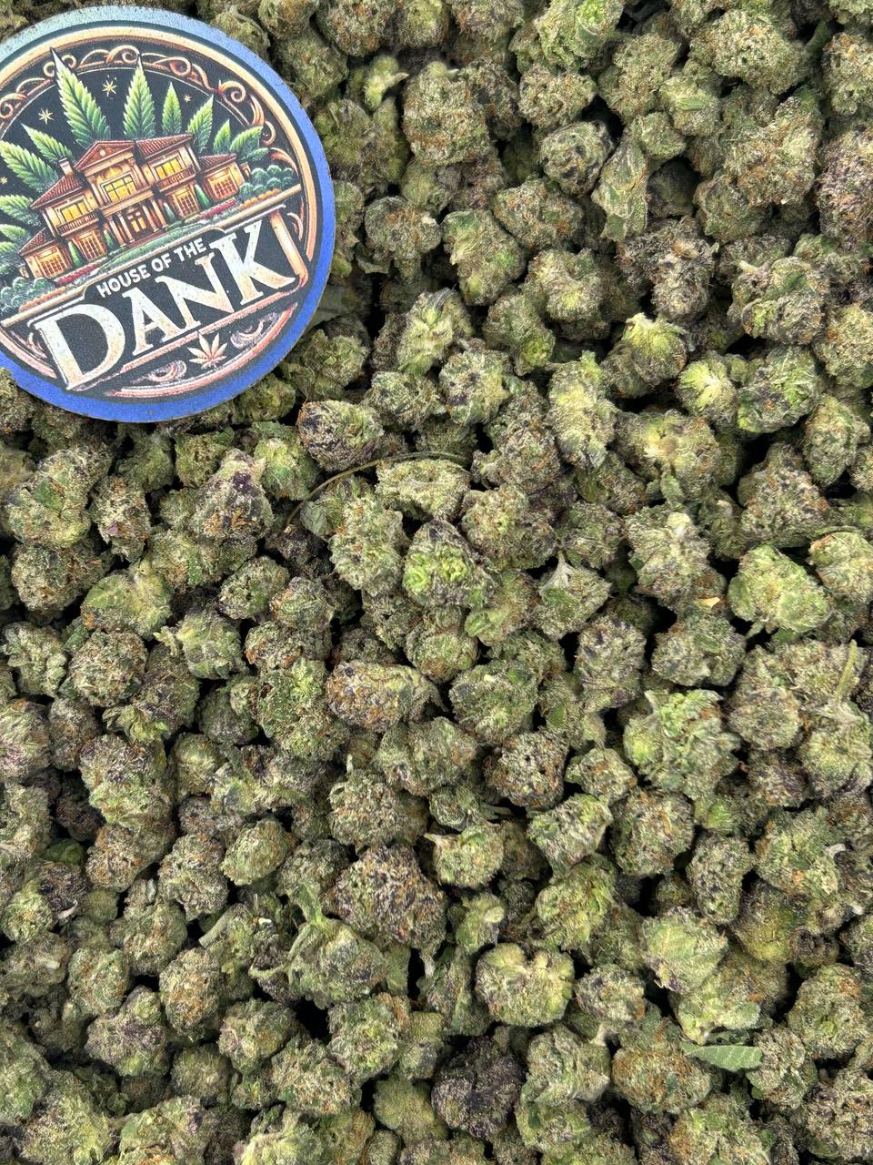 CANDY APPLE SMALLS