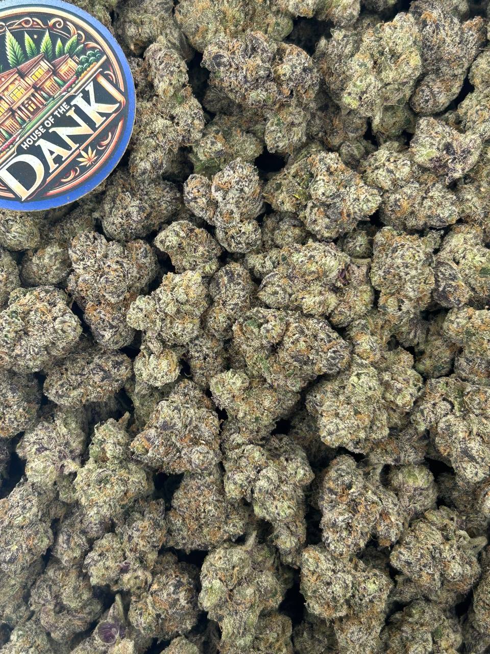 LEMON CHERRY BURST