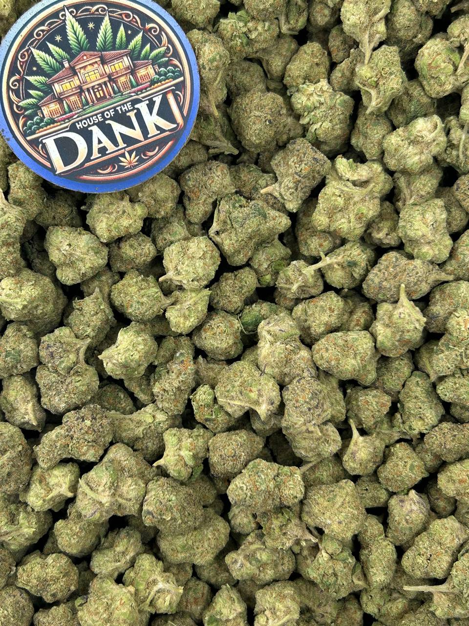 MELON POP SMALLS