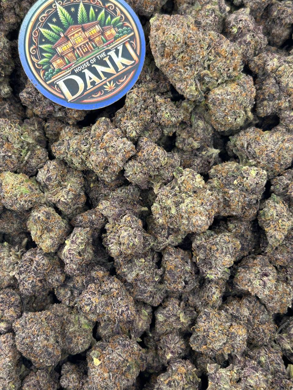 PURPLE CHERRY GELATO