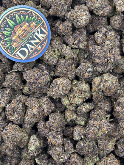 LEMON GLUE POP