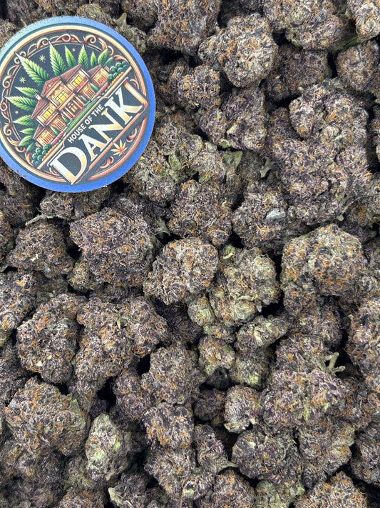 LEMON GLUE POP