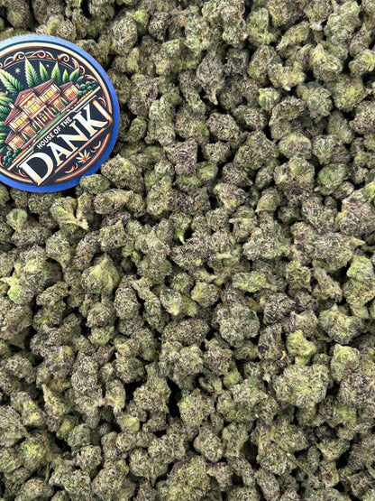 BLUE ZOOSHI SMALLS
