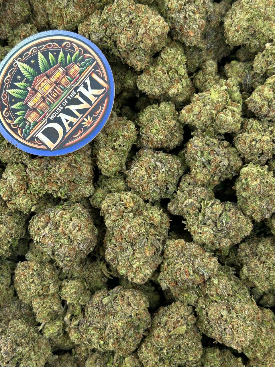 MOCHI BERRIEZ
