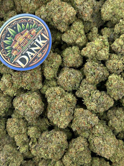 MOCHI BERRIEZ