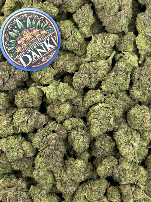 PURPLE GELATO