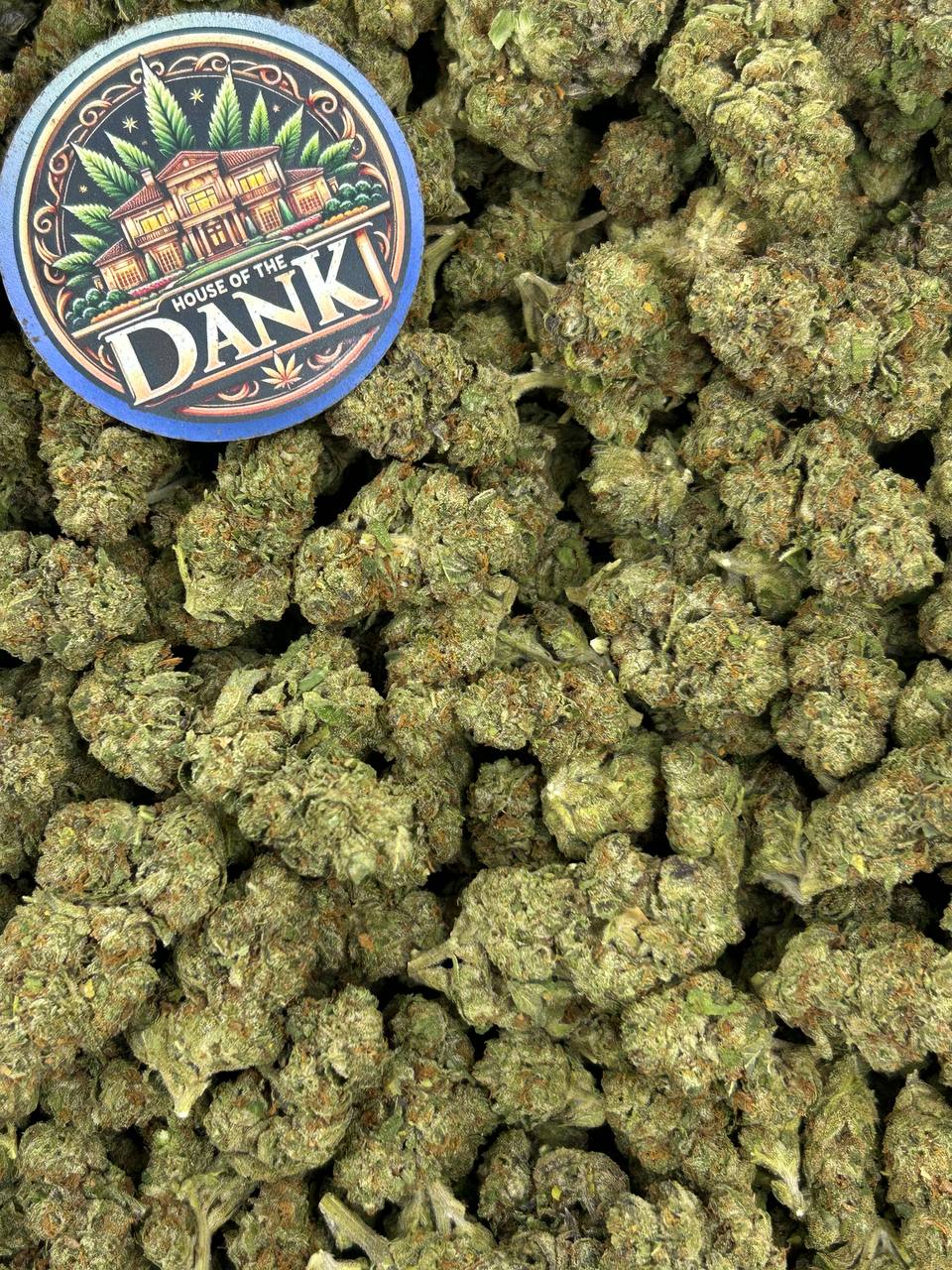 GRAPE FUSION