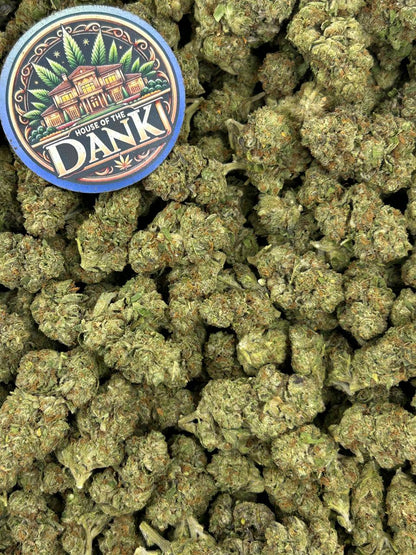 GRAPE FUSION