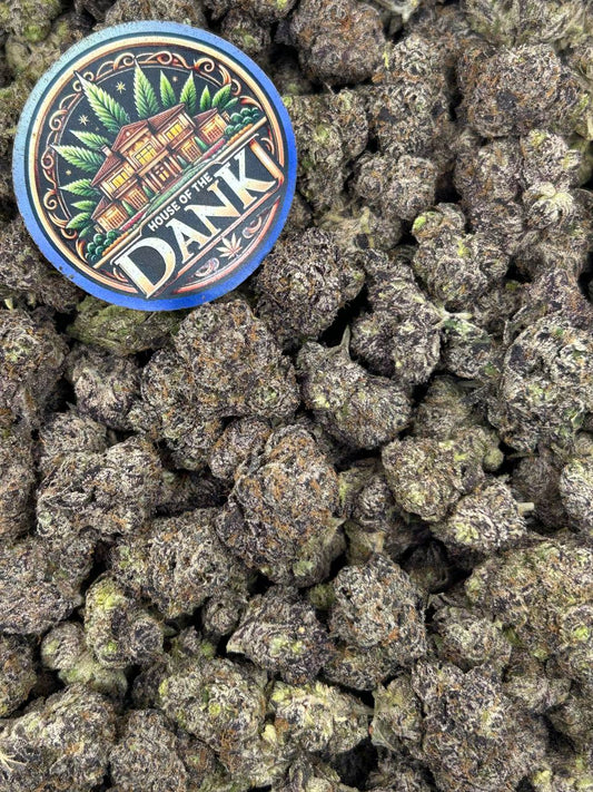 MANGO MARTIANS