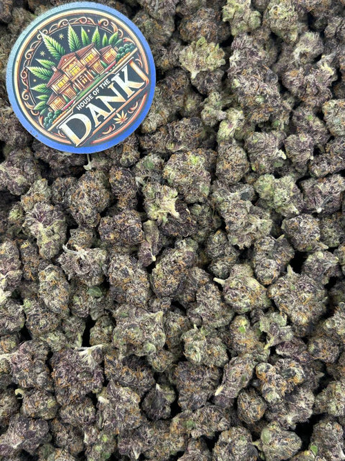 BUBBLEGUM MEDS