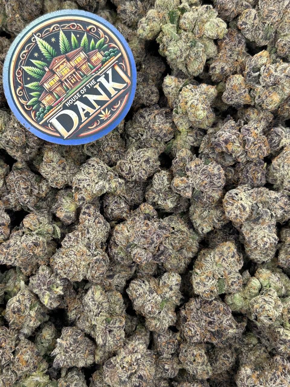 BUBBLEGUM RUNTZ
