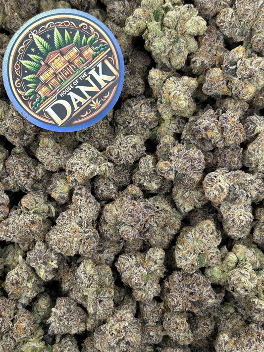 BUBBLEGUM RUNTZ