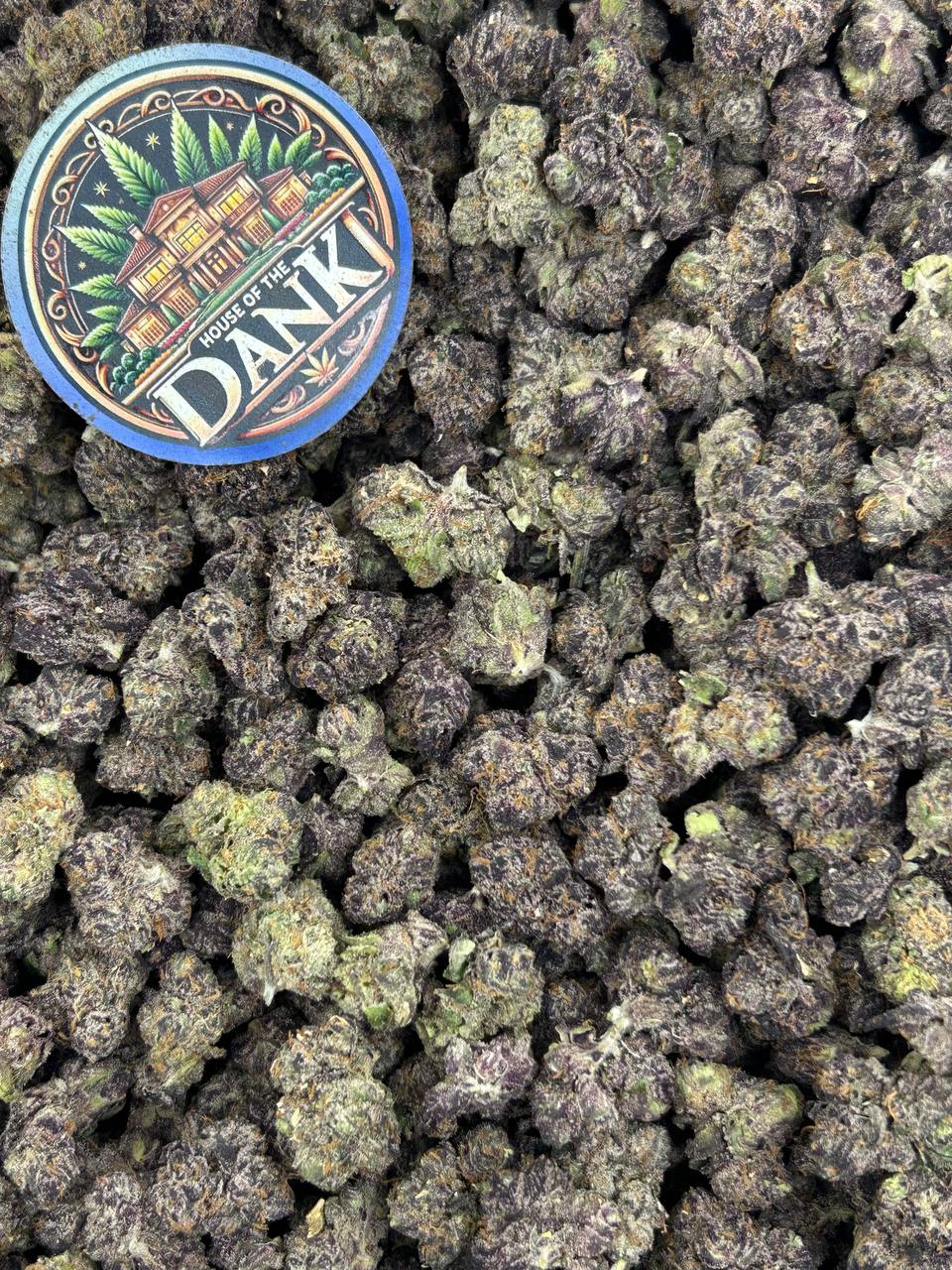 PLUSHBERRY ICE MEDIUMS