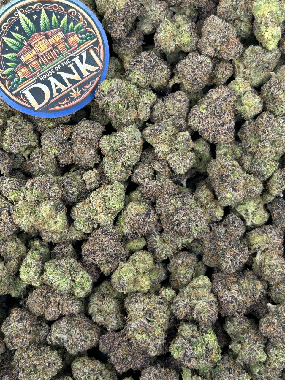 MAGIC ZKITTLEZ