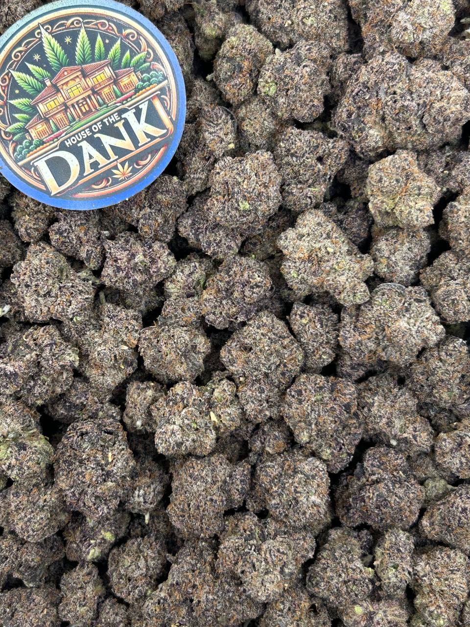 BLUEBERRY BACCARAT